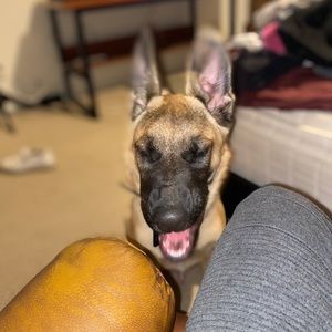 Meet your Posher, Roland